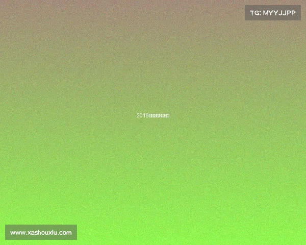 2016年女排赛程与结果